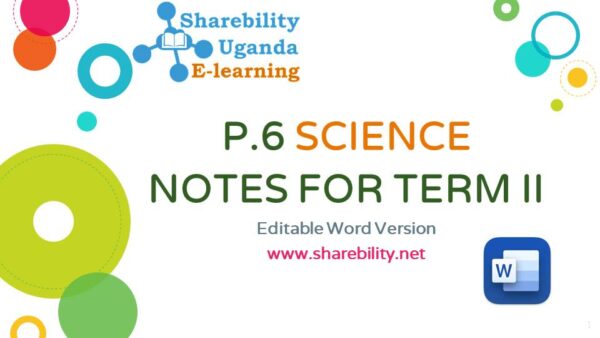P.6 SCIENCE NOTES FOR TERM 2