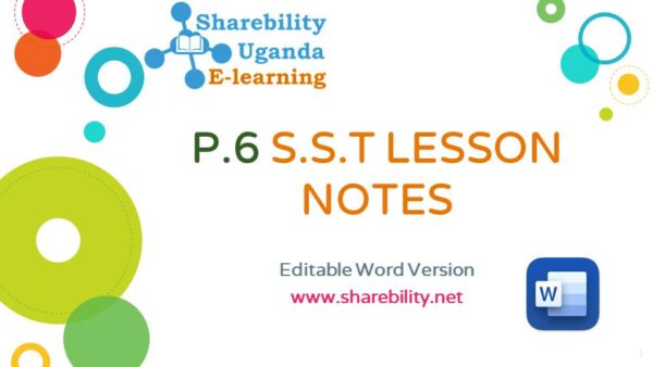 S.S.T LESSSON NOTES FOR PRIMARY SIX.