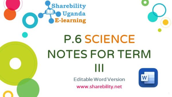 P.6 SCIENCE NOTES TERM III