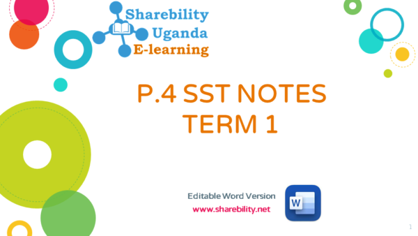 P.4 SST LESSON NOTES TERM 1