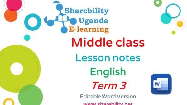 term 3  lesson notes  for  middle for  English
