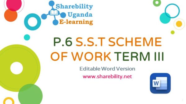 p6 sst scheme of work term3